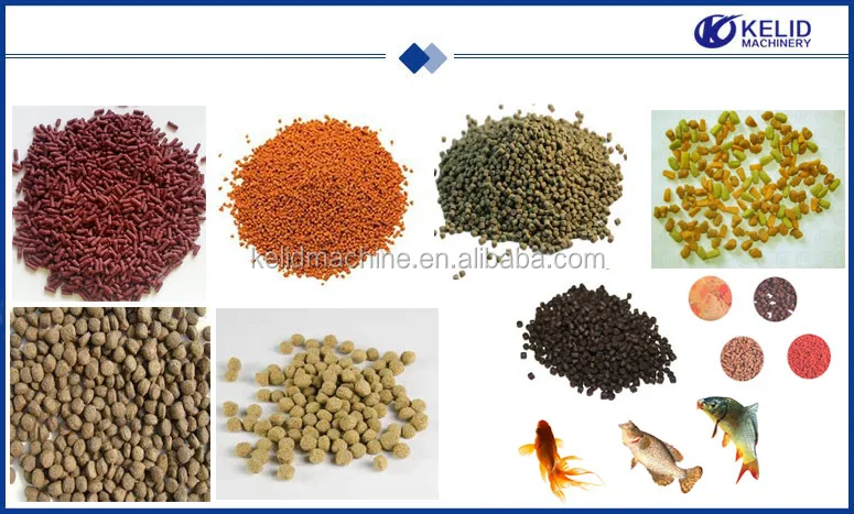 fish feed.jpg