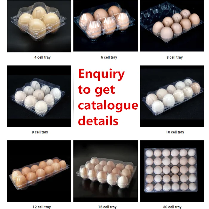 Pvc Clear Plastic Egg Tray And Blister Process Type Egg Cartons For