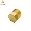 hex socket head cap screw nut brass pipe plug with SAE standard