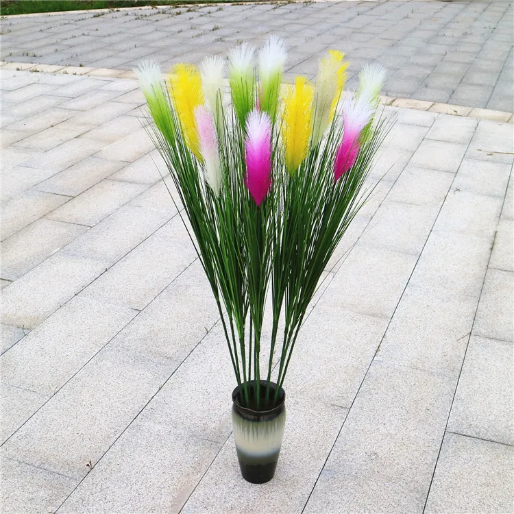 pampas grass (10).jpg