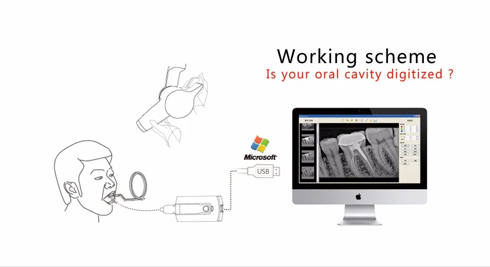 High Resolution Handy Hdr500 Digital Dental Xray Sensor/handy Size 1