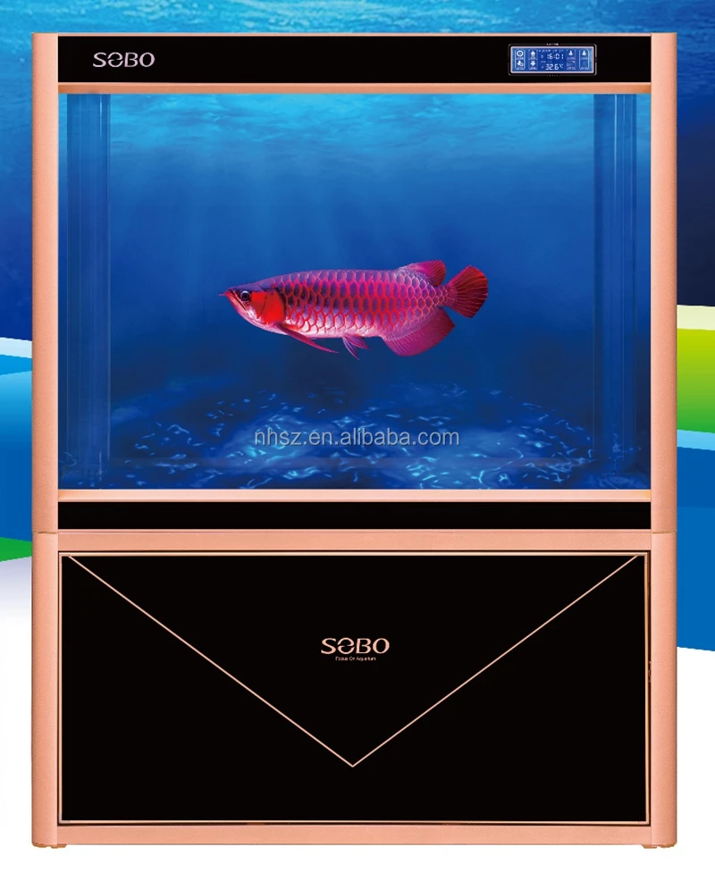 720+ Desain Aquarium Discus HD Terbaru