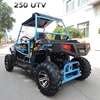 China manufacturer 250cc dune buggy two seat go kart
