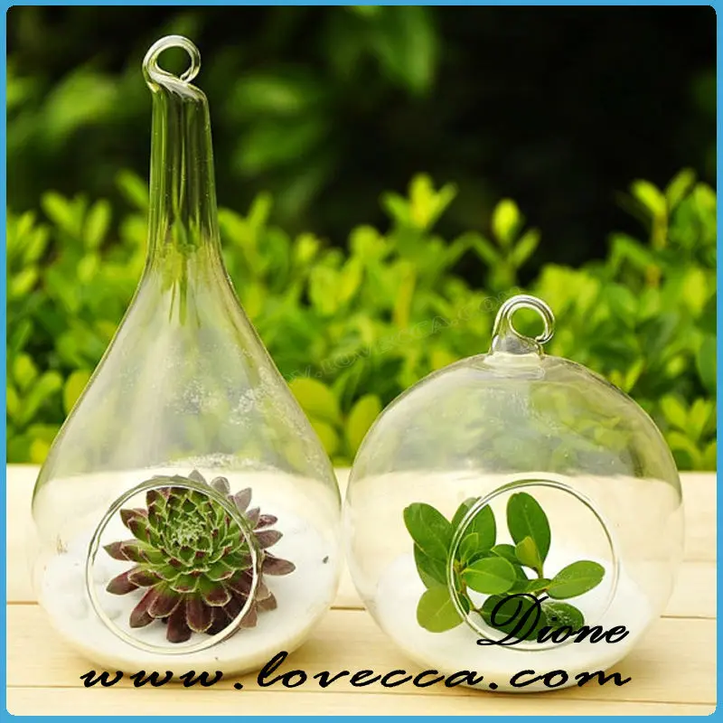 Classic Hanging Glass Ball Vase Fish Aquarium Garden Window Home Decor