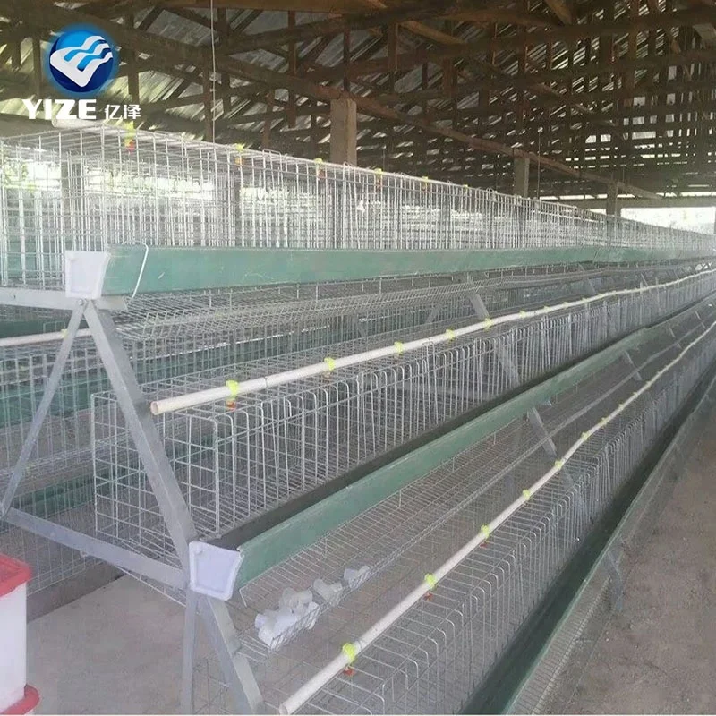 China Poultry In Hyderabad China Poultry In Hyderabad Manufacturers