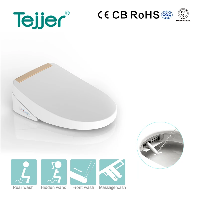 Modern Auto Washer Bidet Toilet Seat Intelligent Buy Bidet Toilet