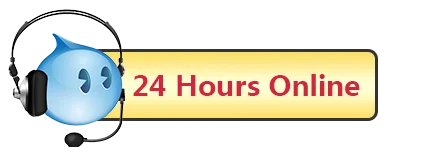 24 Hours Online.png