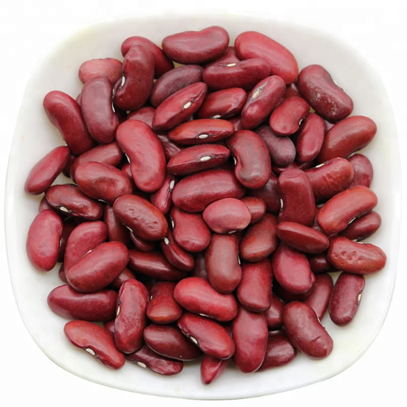 2019 Premium Quality Dark Red Kidney Bean  Wholesale Price For Export