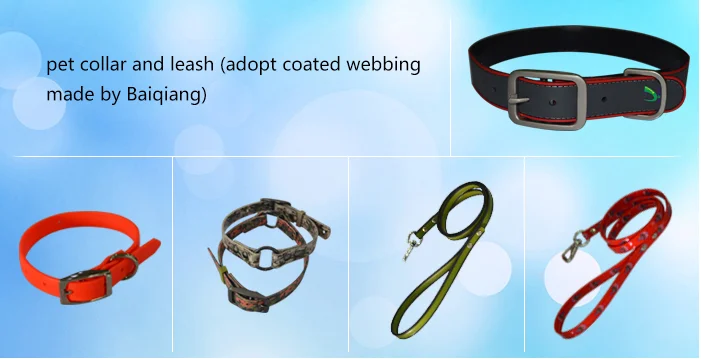 paste-pic-dp_uuid_nx03b