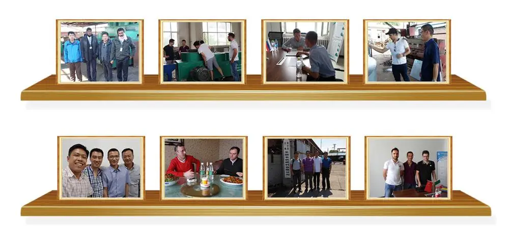 Organic fertilizer pelletizer cow manure pelleting equipment