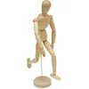 human artist drawing model with high quality