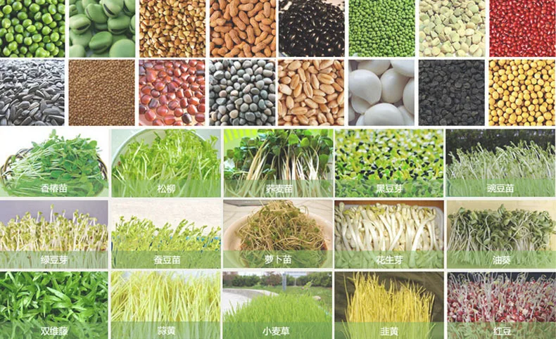 TB22hQgbXXXXXXBXpXXXXXXXXXX-305543718