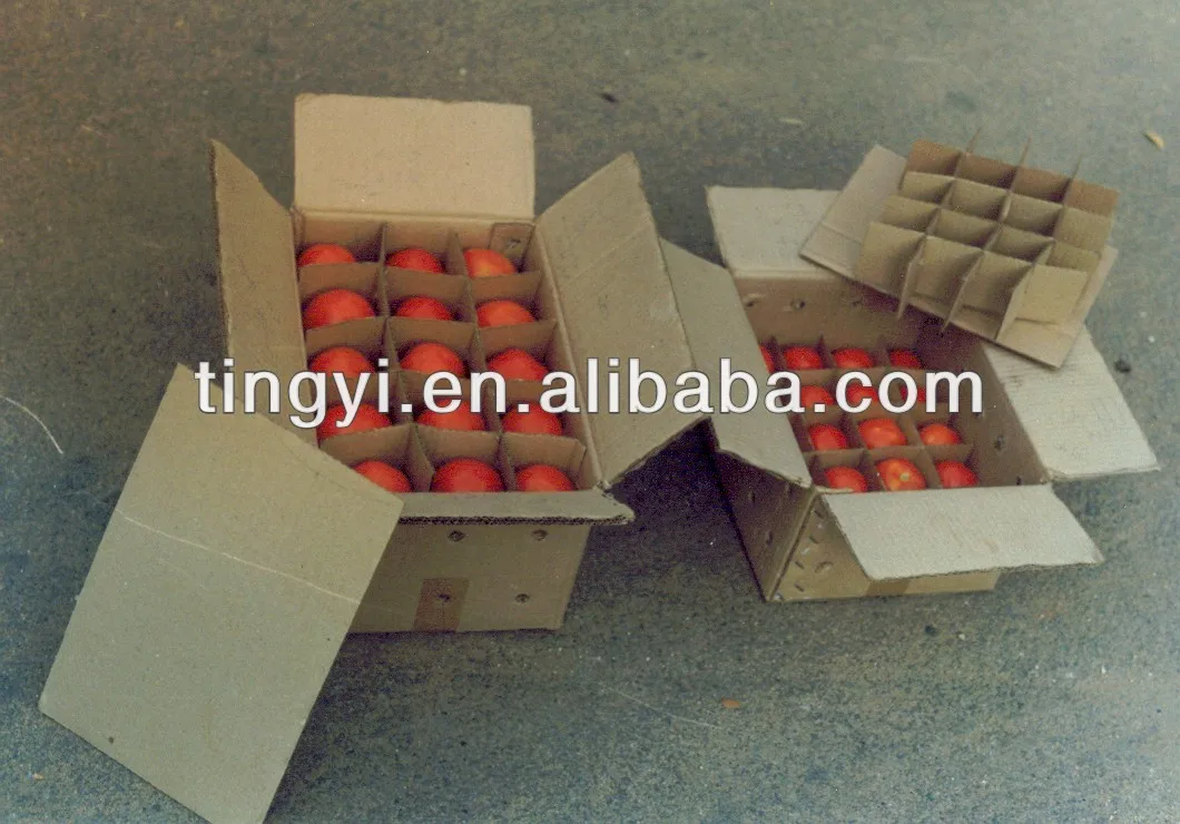 tomato in corrugated boxes.jpg