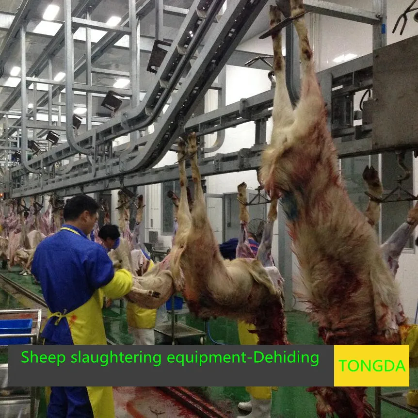 Slaughter Equipment - Buy Shepp Slaughter Line,Slaughtering,Sheep ...