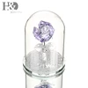 H&D Lover Gift Romantic Crystal Enchanted Never Wither Rose in Terrarium Pendant Valentines Day