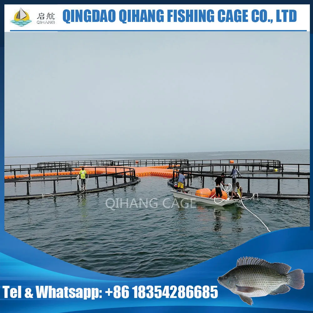Buy Premium small fish traps For Fishing 