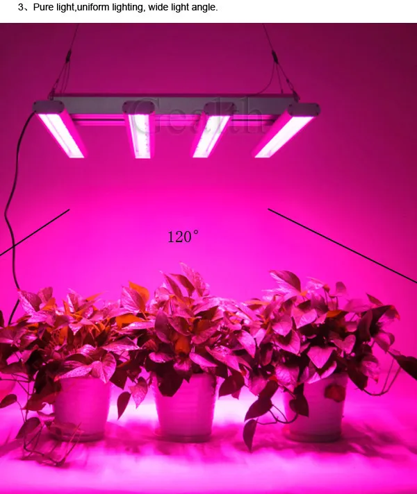 Waterproof Ip65 800w Led Growing Light With Intelligent Timed Control ...