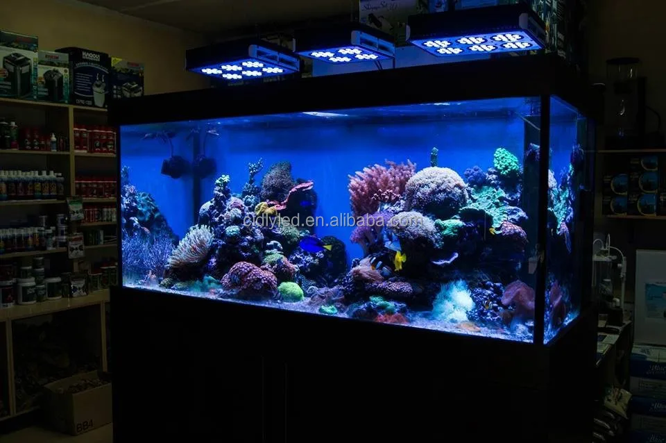 Plafoniere Led Per Acquari Marini Cinesi : Cinese marini plafoniera acquario condotto luce per