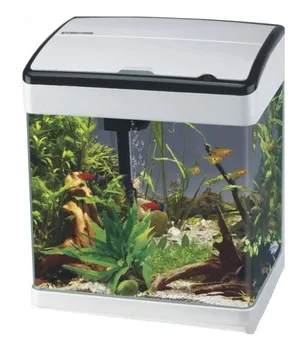 aquarium for fish at home