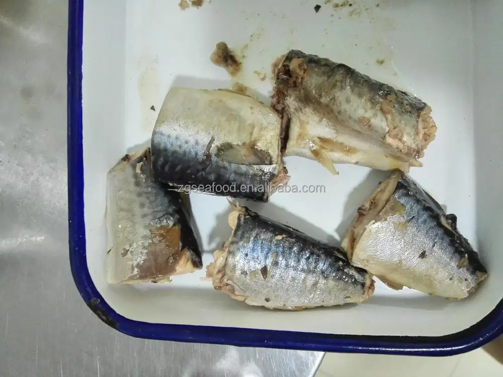 425g Canned Mackerel In Brine Buy Canned Mackerelcanned Mackerel