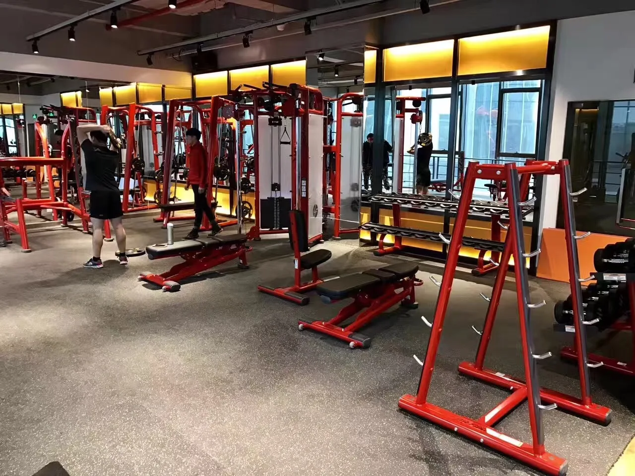 Synergy 360 Life Fitness упражнения