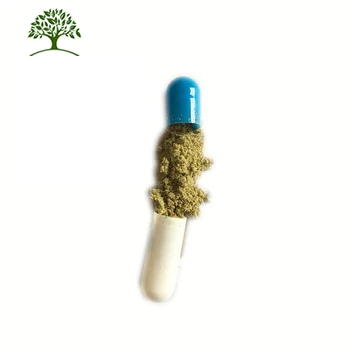 diabetes hierbas que curan