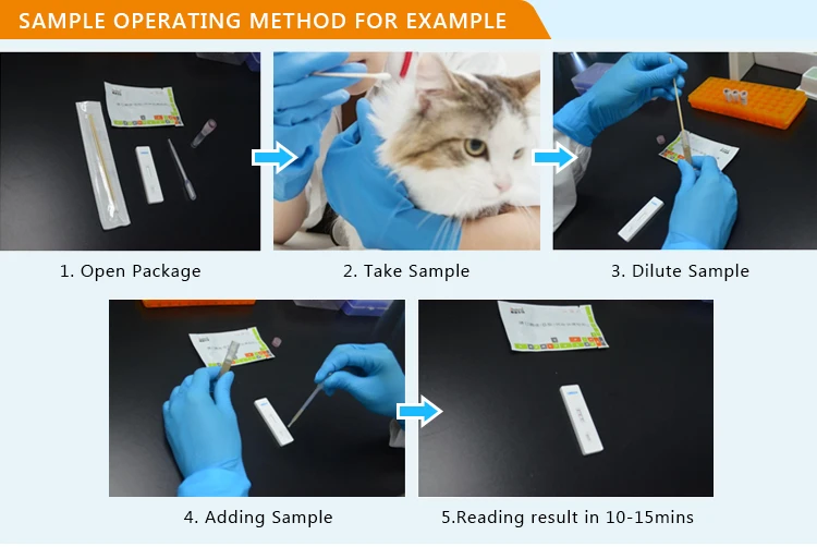Veterinary Toxoplasma Gondii Antibody Rapid Test Kit Buy Toxoplasma