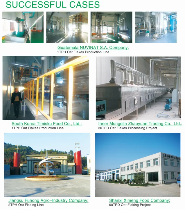 oat flakes projects .png