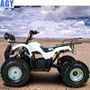 AGY newly launched 48v electric quad