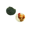 Feed Grade Spirulina Powder Type for Cattle Horse Chicken Dog Pig Fish Feed Use