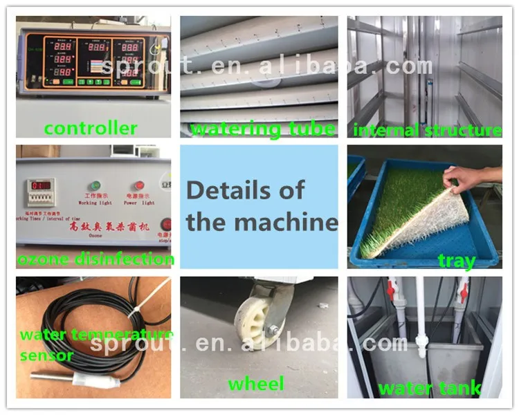 Details of the machine_.jpg