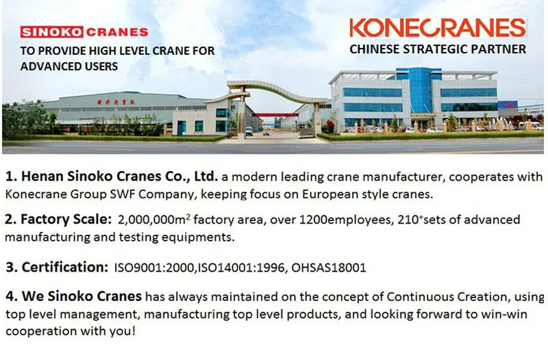 About sinoko crane.jpg