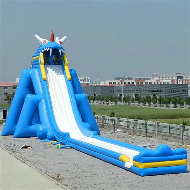 inflatable slide adults.jpg