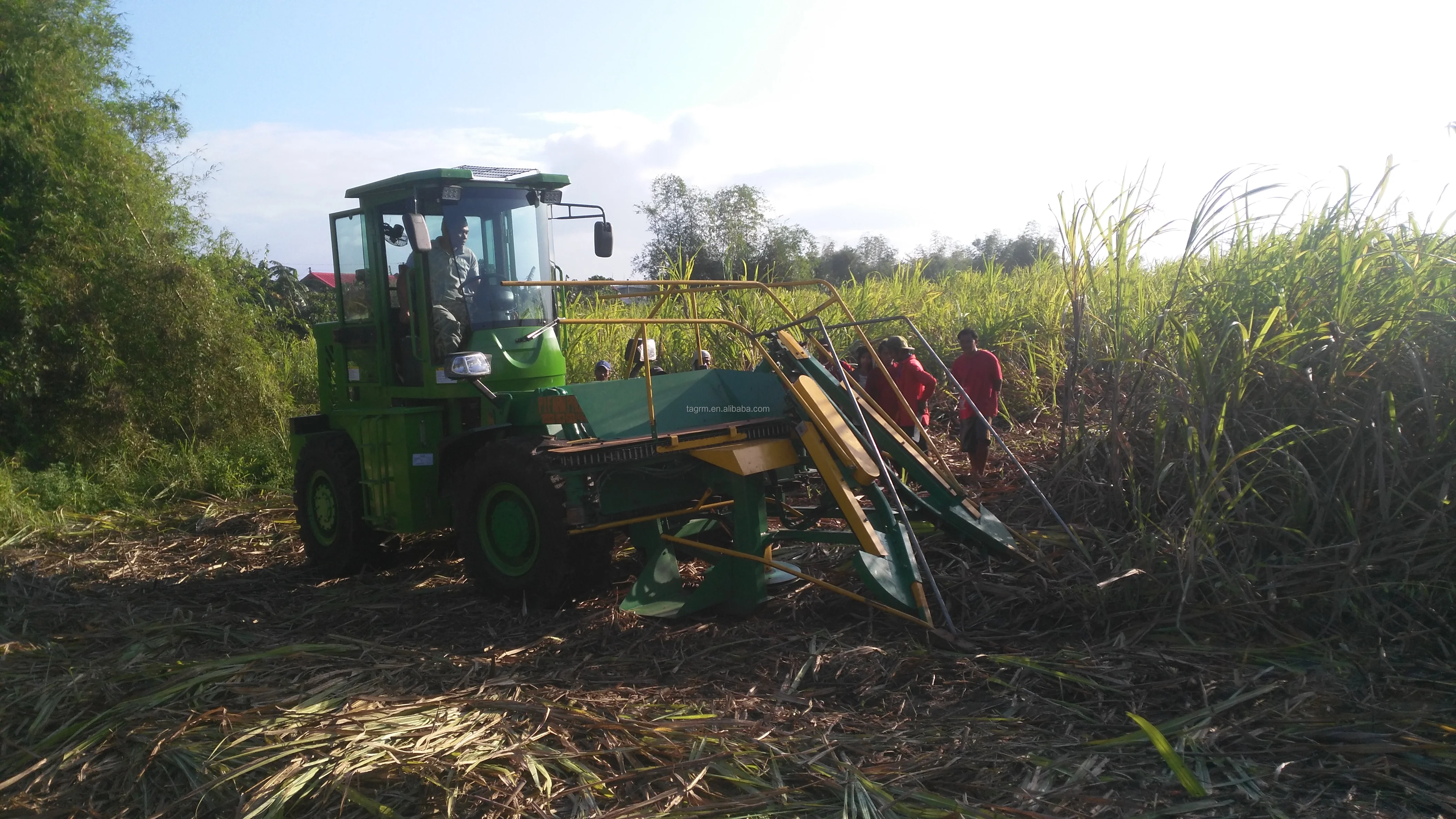 Fullautomatic Sugar Cane Harvester /sugarcane Cutting Machine Sale In