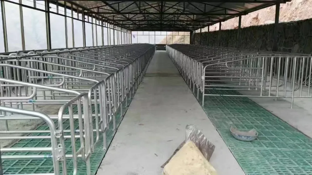 China Factory Pig Cage Pig Gestation Stalls
