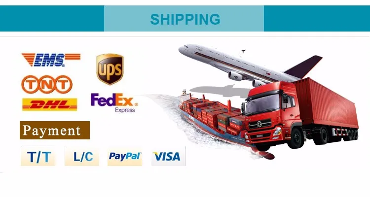 shipping