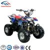 Chinese Cheap 110cc-125cc Gasoline ATV Quad