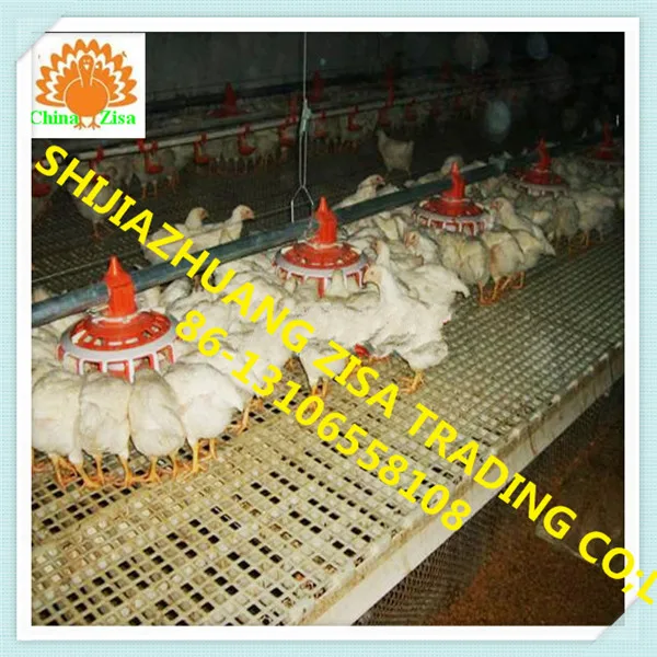 Chicken Shed Free Range Chicken Feeder Buy Chicken Shed Free
