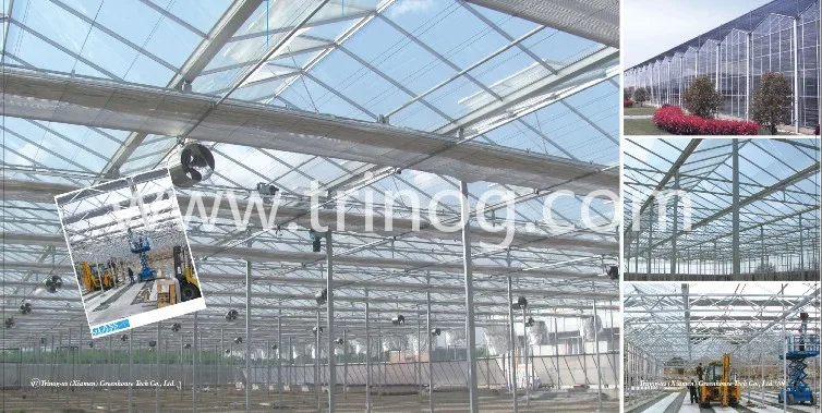 greenhouse hydroponics