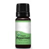 Private Label Natural Aromatherapy Massage Peppermint Essential Oil