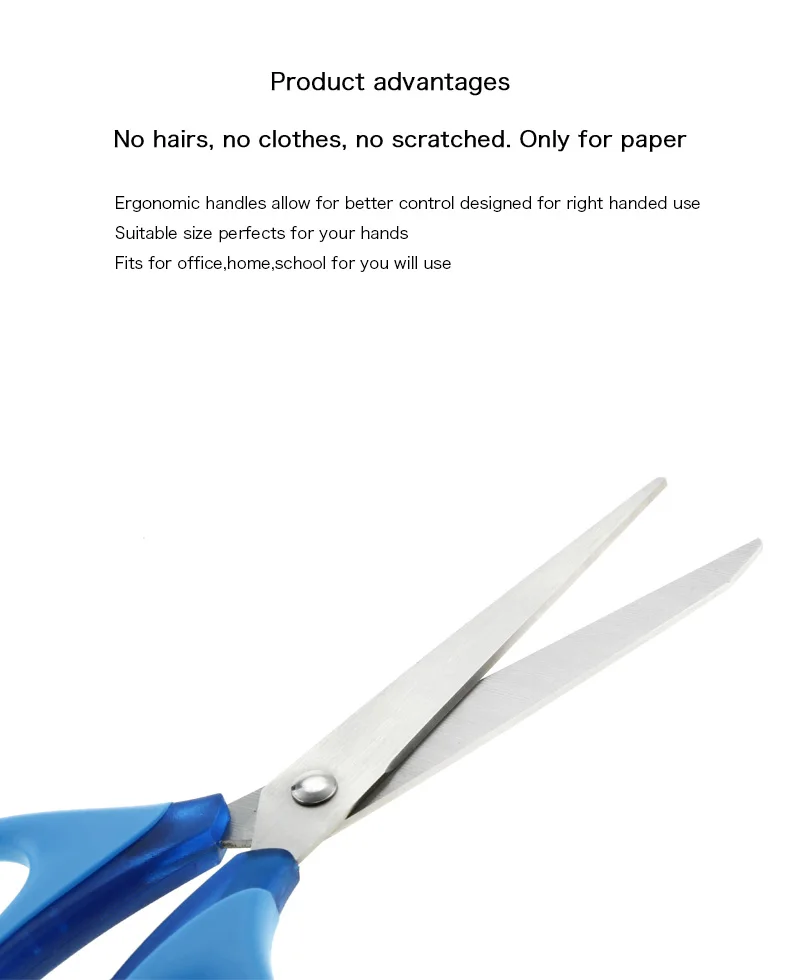 fancy handle scissors