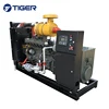 10kw to 1200kw high quality good price coal power generator