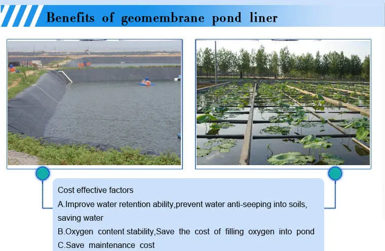 fish farm pond geomembrane liner.jpg