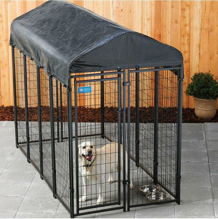 Made In China Galvanized Chain Link Dog Kennel Of Large.jpg