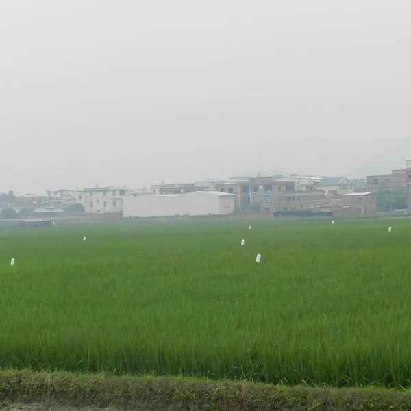 Turbination trap 3.jpg