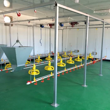 Sihai Poultry Equipment Suppliers Automatic Chicken Feeding System