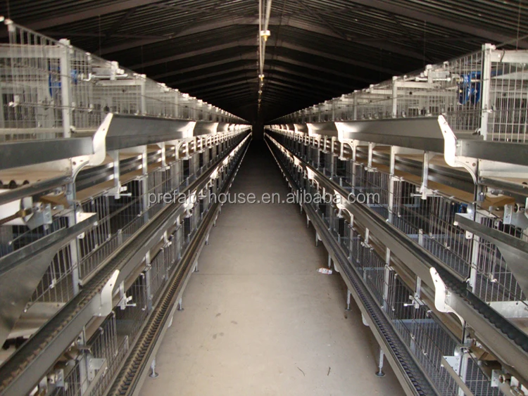 Steel poultry broiler galvanized low cost chicken farm