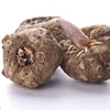 Free sample! China 16 years herbal extraction factory price weight loss KGM glucomannan de konjac bulk