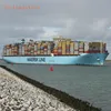 MSC/MSK OOCL/CMA/COSCO Line Shipping to Russia