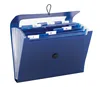 See everything at a glance 12 Pockets Poly Step index Organizer